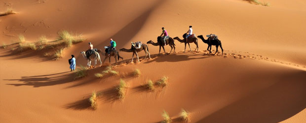 images de l'Egypte