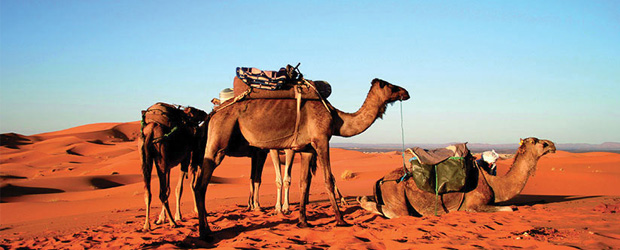 images de Oman